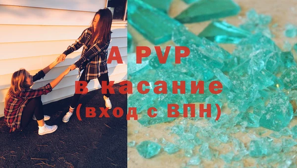 a pvp Белокуриха