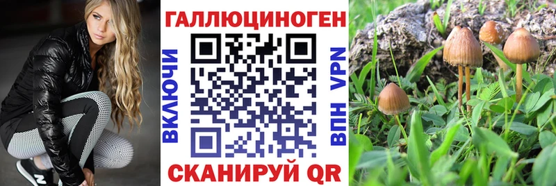сколько стоит  МЕГА рабочий сайт  Галлюциногенные грибы GOLDEN TEACHER  Усть-Джегута 