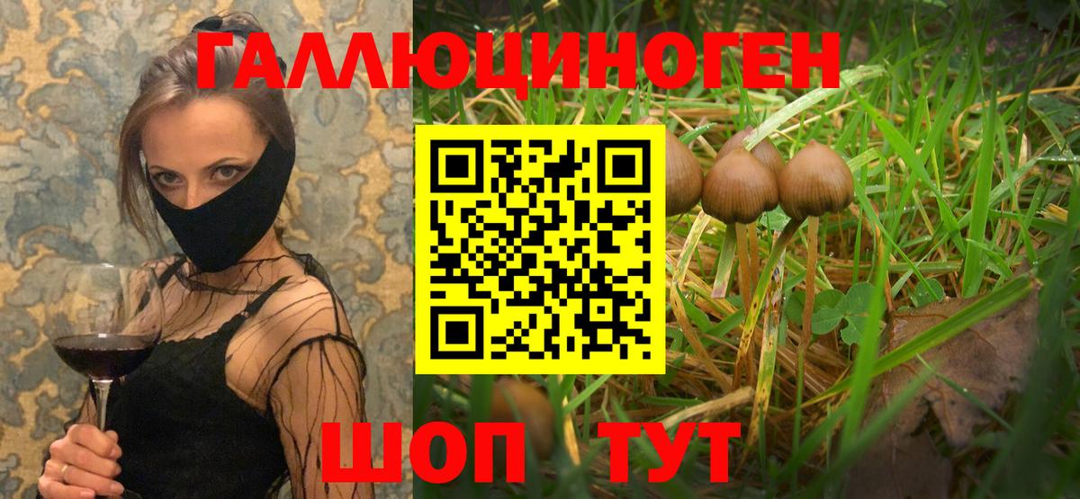 Галлюциногенные грибы GOLDEN TEACHER Усть-Джегута