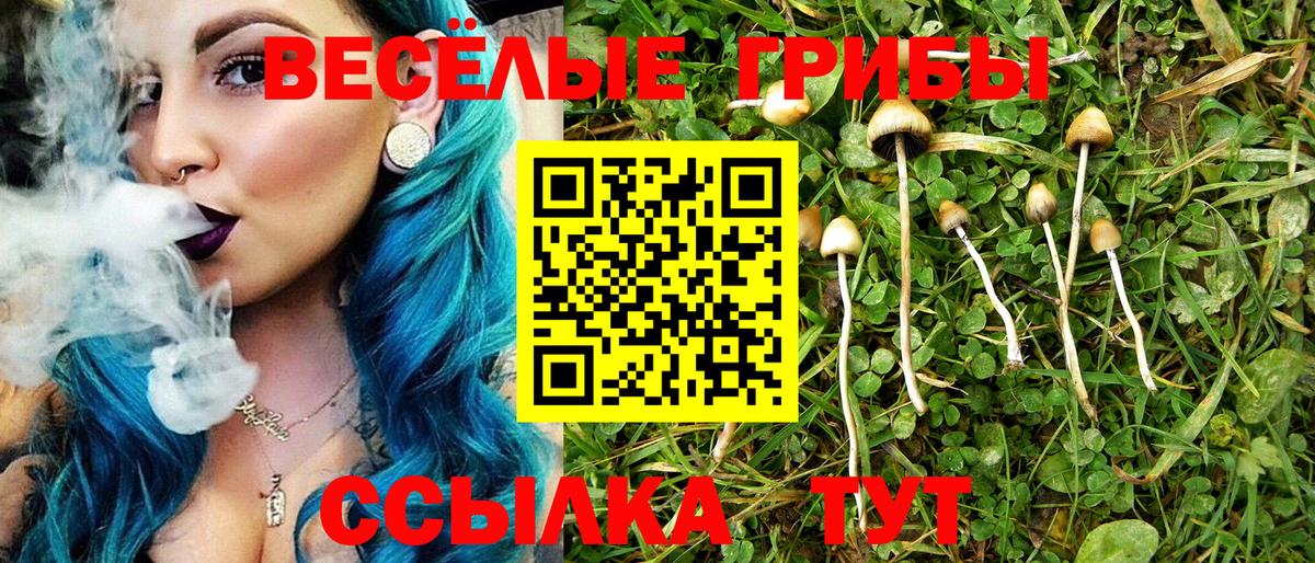 Усть-Джегута  Галлюциногенные грибы Cubensis  где купить наркотик  Вход с VPN 