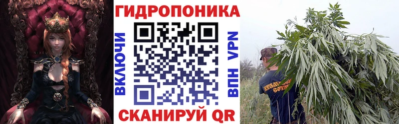 Бошки Шишки White Widow  Усть-Джегута 